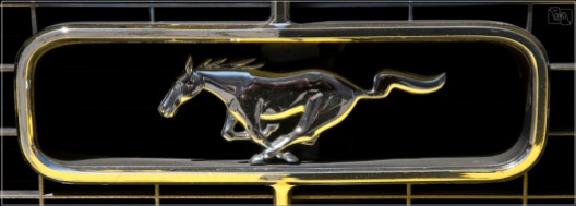 031 - Mustang